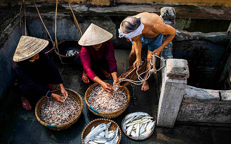 Câu chuyện về nước mắm sạch không Urê