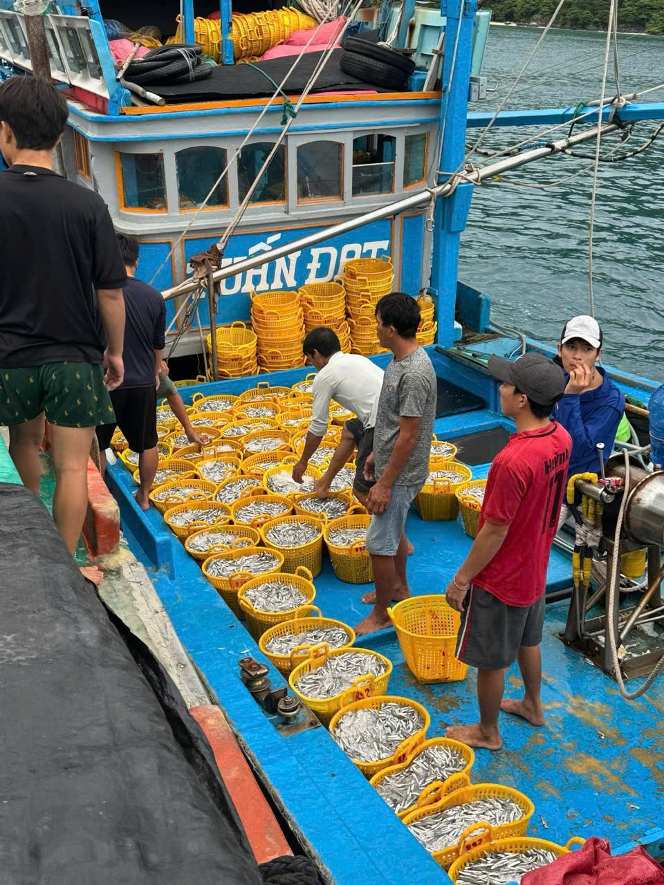 TINH HOA CỐT MẮM TỪ VIỆT HƯƠNG