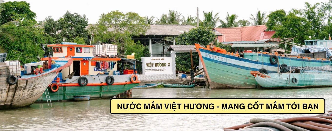 Background trang chủ (2)